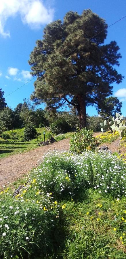 Finca Verode Санта-Крус-де-Тенерифе Экстерьер фото